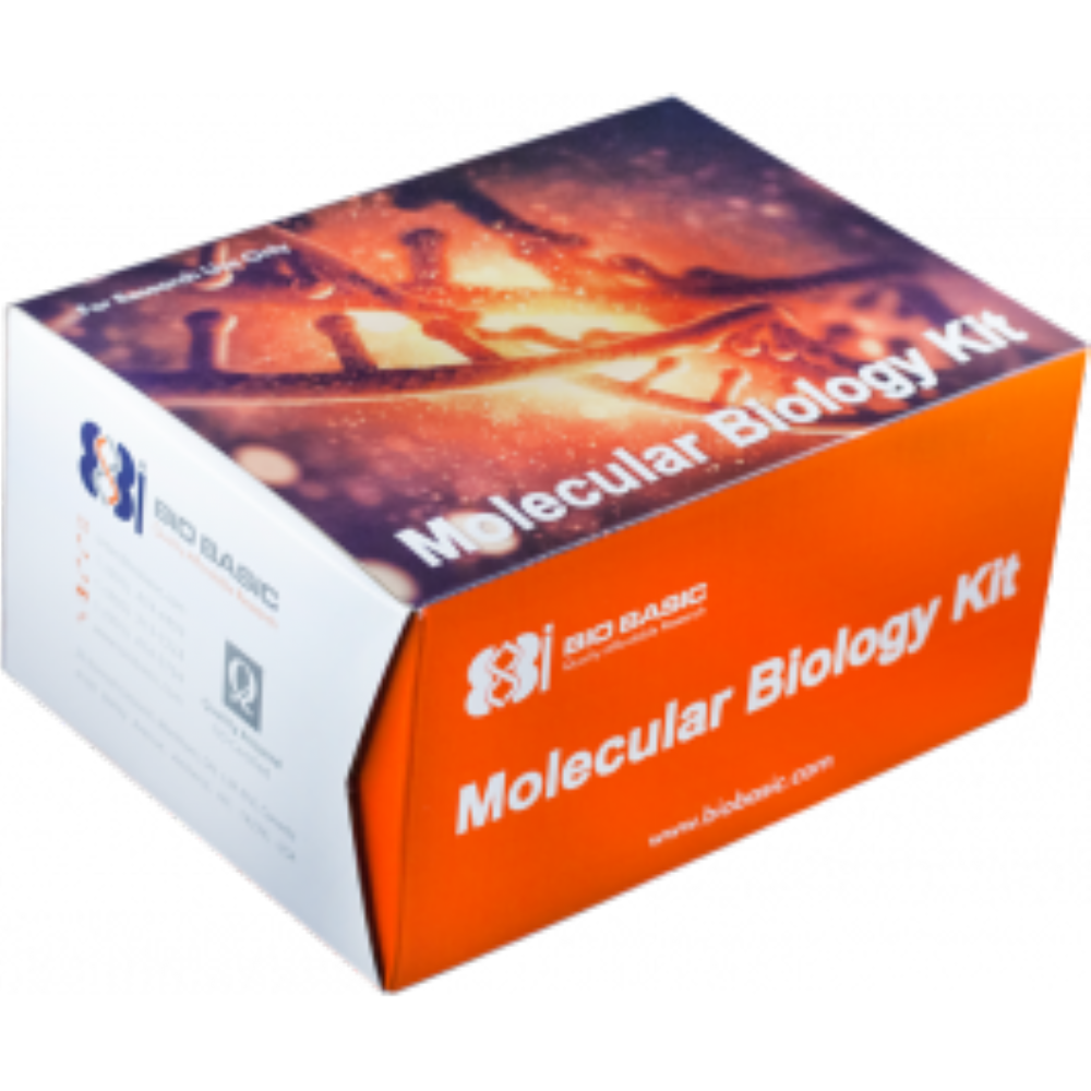 VT4184 Rapid Viral RNA Extraction Kit [50 Preps] Store at 4°C The Orange Scientist