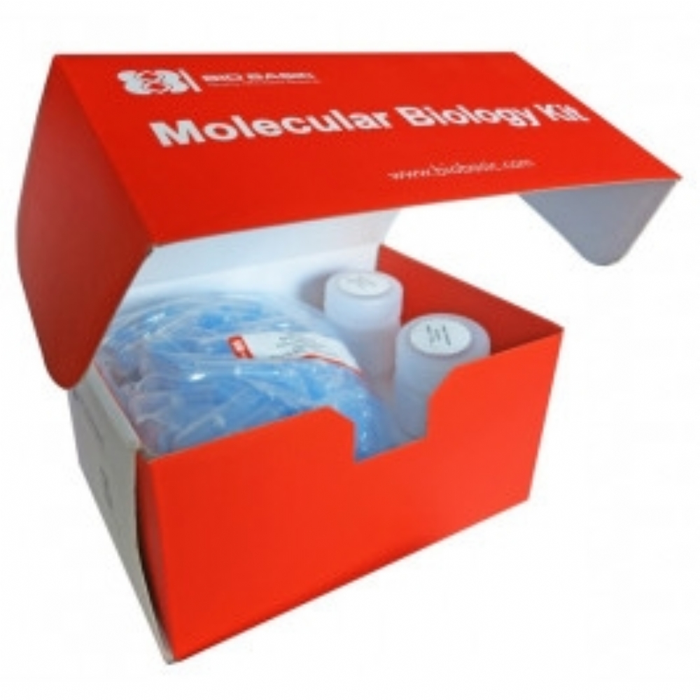 VT82112 EZ10 Spin Column Viral Total RNA Extraction Kit [50 Preps