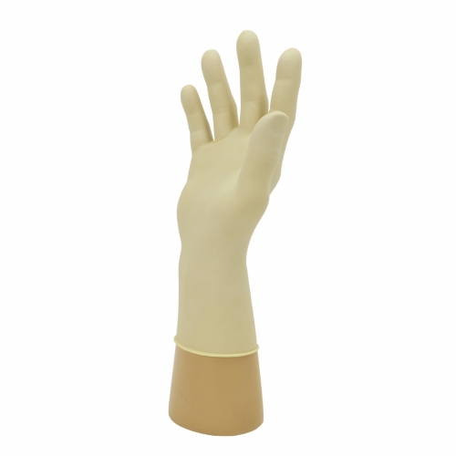 Polyco Healthline GN31 Powder-Free Chlorinated Latex Disposable Gloves – Medical & Hygiene PPE