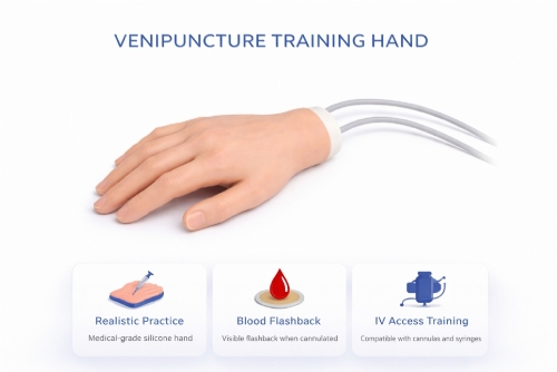 Venipuncture Training Hand – IV Injection & Phlebotomy Practice Model