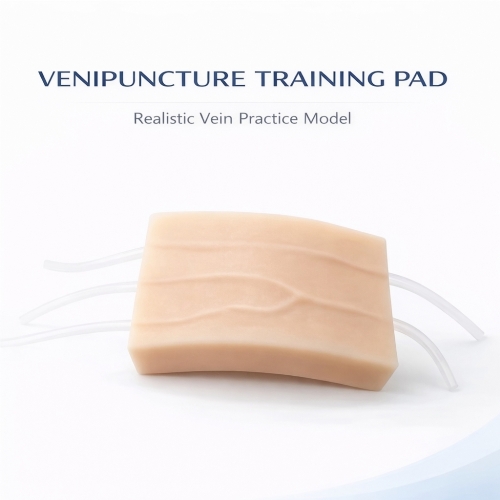 Y-Vessel IV Injection Practice Pad – Venipuncture & Phlebotomy Training Simulator