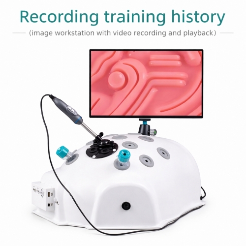 1080P HD Laparoscopic Simulator Training Box – Surgical Skills Training System