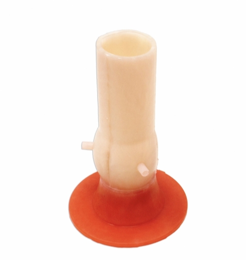 Aortic Valve Model | Cardiac Surgery & Valve Replacement Training Simulator