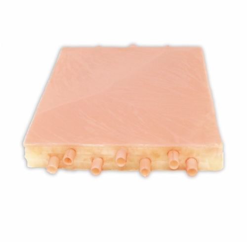 Embedded Femoral Arteries with Dermis Model | Vascular Anastomosis Training Simulator