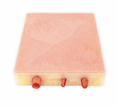 Embedded Carotid Arteries with Plaque and Dermis Model | Carotid Endarterectomy Training Simulator