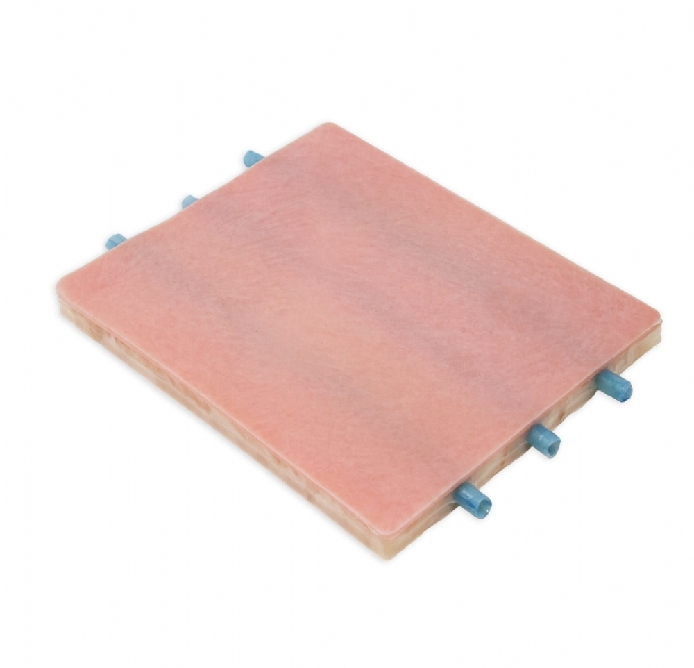 Embedded Veins Venipuncture Model | Venipuncture Training Simulator