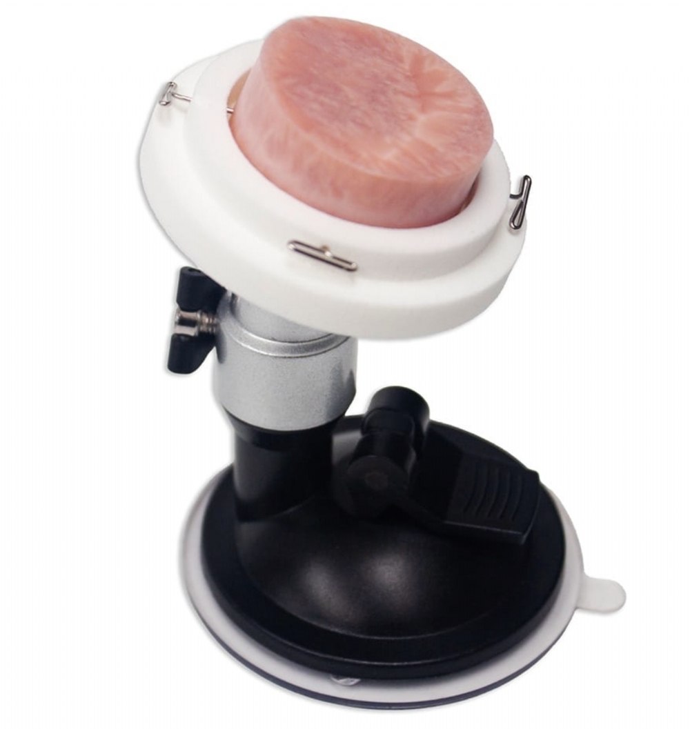 Cervix Disc Biopsy Model | Cervical Biopsy & OB-GYN Surgical Training Simulator