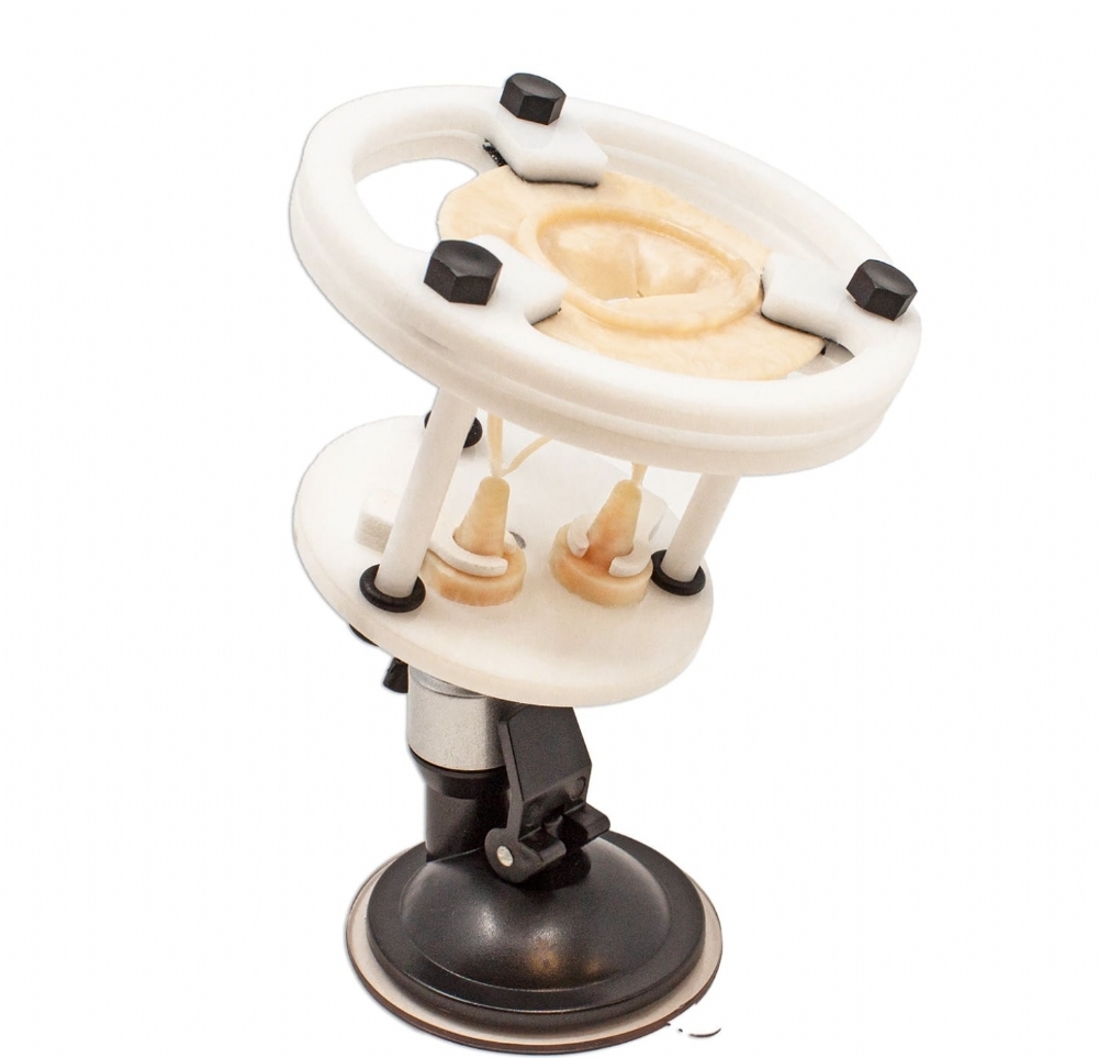 Mitral Valve Base | Cardiac Surgery Training Valve Holder