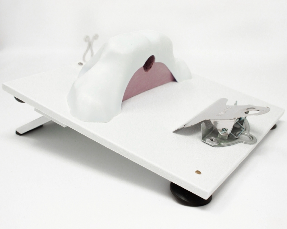 Vesico-Urethral Holder | Urology Surgical Training Base