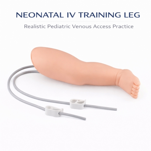 Infant IV Leg Venipuncture Training Model – Neonatal Phlebotomy & IV Injection Practice